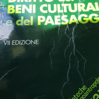 Manuale di diritto dei beni culturali e del paesag