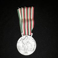 Medaglia Unione Fascista Famiglie Numerose - Epoca