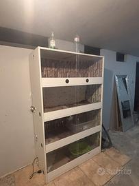 Teca per rettili