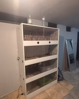 Teca per rettili
