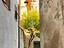 Immagine 10