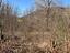 Immagine 17