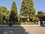 Immagine 29