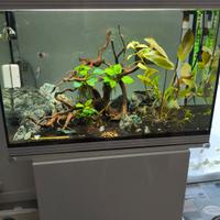 ACQUARIO ASKOLL PURE XL HC