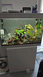 ACQUARIO ASKOLL PURE XL HC