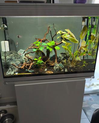 ACQUARIO ASKOLL PURE XL HC