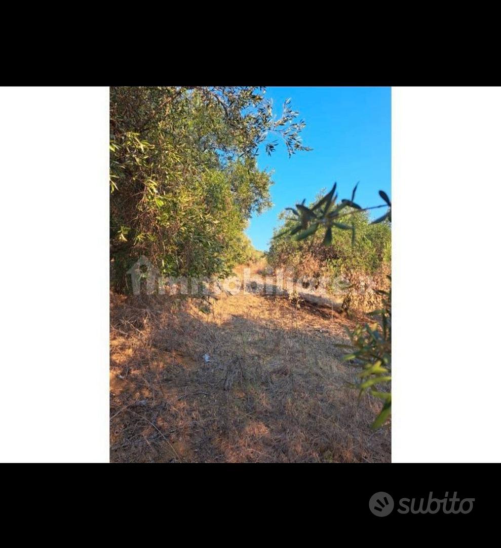 Terreno Agricolo - Vista 3