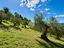Immagine 17