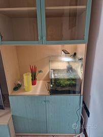 Acquario Amtra cube 60 litri