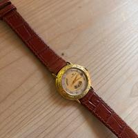 Pryngeps Nostradamus