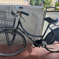 Bici olandese Atala