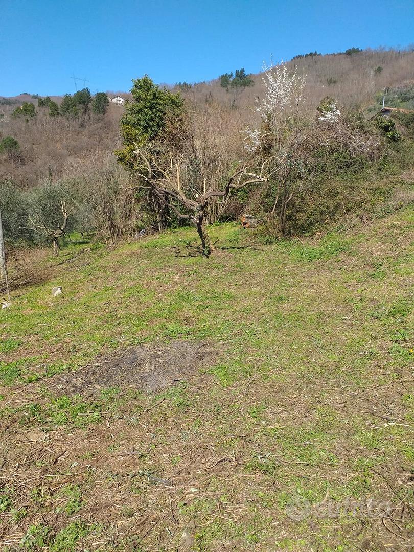 Rustico con terreno indipendente - Vista 3