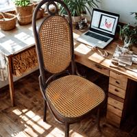 Sedie in stile Thonet