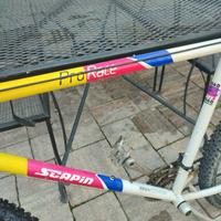 Bicicletta Scapin Pro Race