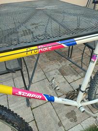 Bicicletta Scapin Pro Race