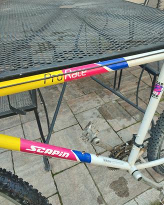 Bicicletta Scapin Pro Race