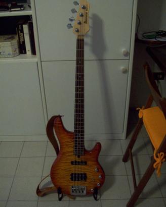 Basso Ibanez Roadgear