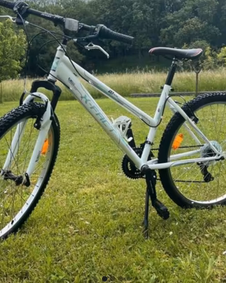 Mountain bike