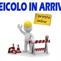 Telaio Iveco Daily 65C18 - Motore 3.0 cc - 180 CV