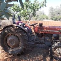 Modello 135 Massey Ferguson