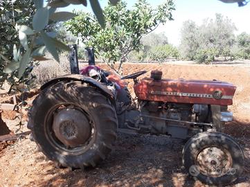 Modello 135 Massey Ferguson