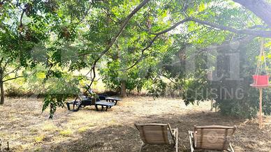 Casa Indipendente Scarlino [024/S046VRG]