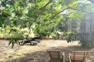 Casa Indipendente Scarlino [024/S046VRG]