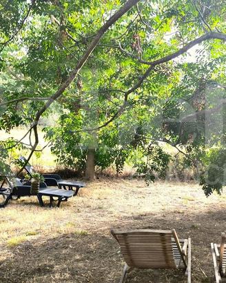 Casa Indipendente Scarlino [024/S046VRG]