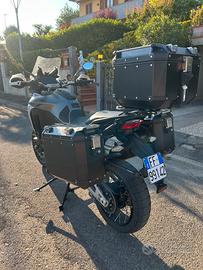 Tris borse Multistrada v4