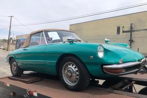 Alfa romeo Giulia Spider 1300Junior OSSO DI SEPPIA