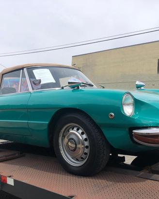 Alfa romeo Giulia Spider 1300Junior OSSO DI SEPPIA