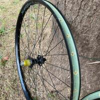 Miche 550 XM-H Boost - Mozzi per E-Bike