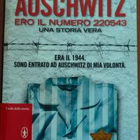 Auschwitz una storia vera