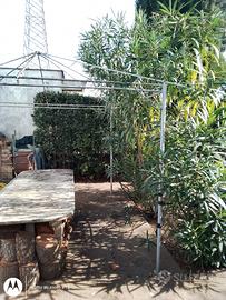 struttura per copertura