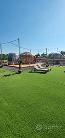 Terreno edificabile + Glamping