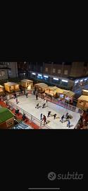 Piste di pattinaggio sintetiche