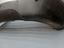 Immagine 19