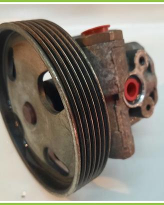 Pompa Servosterzo Meccanica FORD FIESTA CBK 1.4