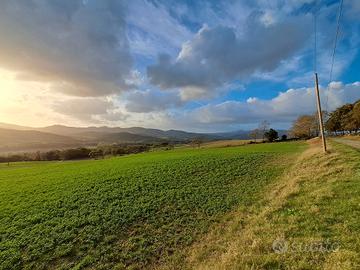 Azienda agricola con 38 ha di terreno Cecina