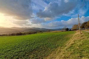 Azienda agricola con 38 ha di terreno Cecina