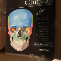 Anatomia Netter
