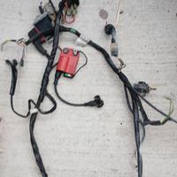 Impianto elettrico piaggio zip