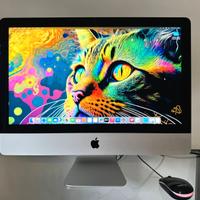 IMAC APPLE I5 SSD500GB DISPLAY 4K SCHEDA VIDEO 4GB