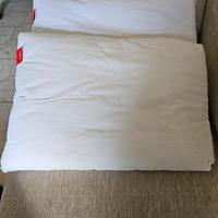 Coppia di cuscini Gabel 60x40 cm (nuovi)