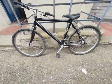 bicicletta MTV Silver Star Power Bike Vintage