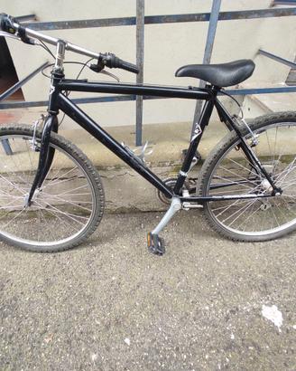 bicicletta MTV Silver Star Power Bike Vintage