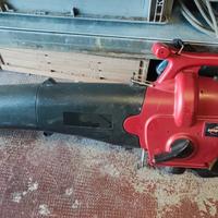 Trita foglie e soffiatore 