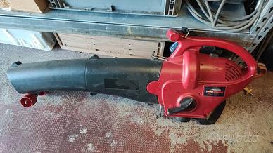 Trita foglie e soffiatore 