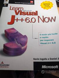 Learn Microsoft visual j++ 6.0 Now