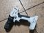 Immagine 2